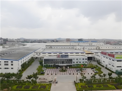 恒安 (中国) 纸业有限公司